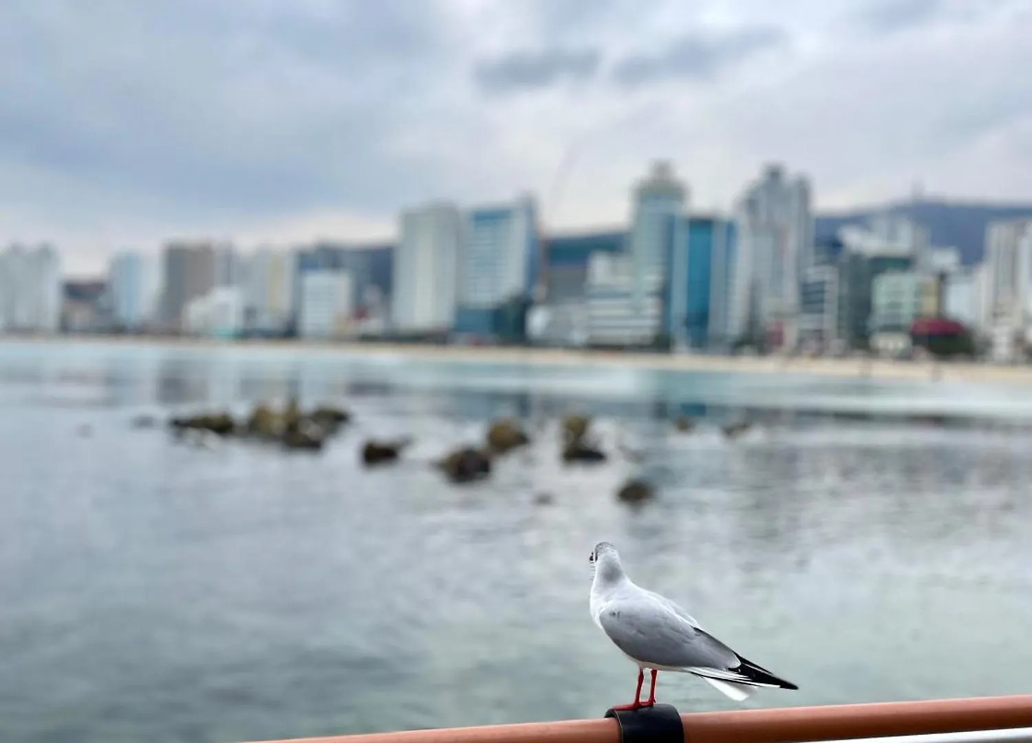 Ocean Front Apartment Busan Sydkorea